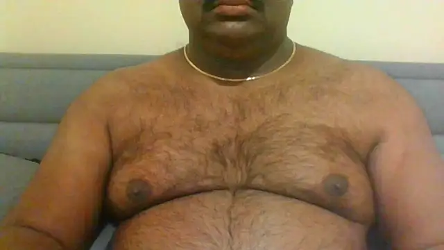 Snapshot of indianbearbot chatting on January 11, 8:54 pm indianbearbot online show from January 11, 8:54 pm