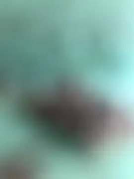 Snapshot of Indiancockmilk chatting on January 31, 6:35 am Indiancockmilk online show from January 31, 6:35 am