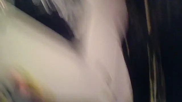 SilverandFox online show from November 5, 9:31 am