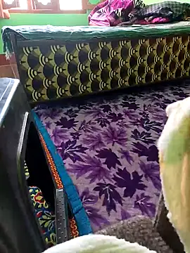 bigtoool12 online show from October 2, 6:31 am