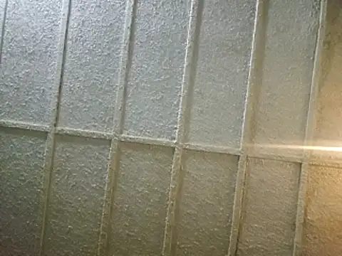 zaneporter46 online show from February 8, 6:54 am