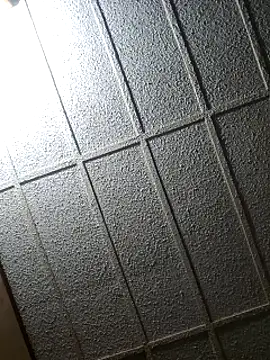 zaneporter46 online show from February 8, 4:04 pm