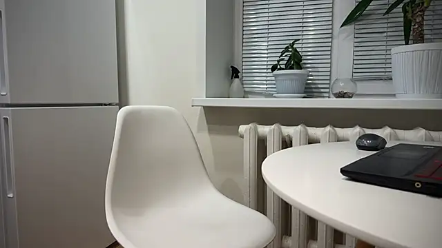 Snapshot of BrendanSilvers chatting on December 25, 11:20 pm BrendanSilvers online show from December 25, 11:20 pm