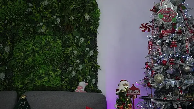 amiraroshen online show from December 22, 8:06 pm