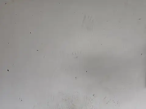 Snapshot of fs_carioca chatting on December 2, 8:26 pm fs carioca online show from December 2, 8:26 pm