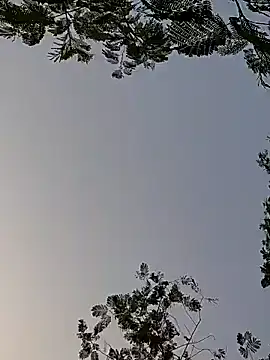 Snapshot of Whitehouse01 chatting on December 29, 1:56 am Whitehouse01 online show from December 29, 1:56 am