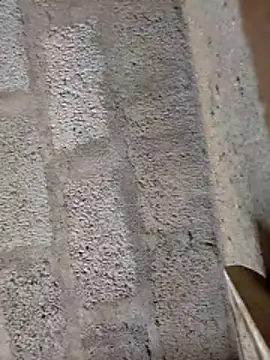 ruthaa online show from February 28, 8:15 am