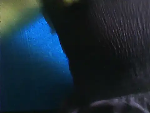 Tamil Vishalini online show from November 28, 7:11 am