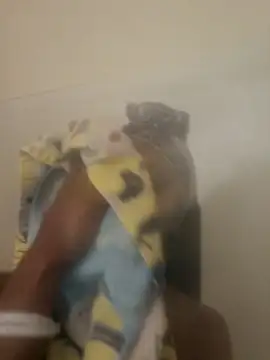 Looking4Jerries online show from December 31, 6:48 am