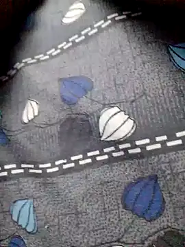 Snapshot of tamilpaiyan25 chatting on January 9, 3:04 am tamilpaiyan25 online show from January 9, 3:04 am