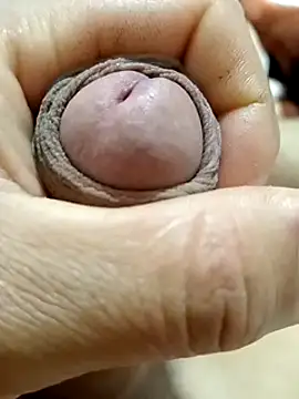 mmarvis za78 93 21cm online show from February 23, 3:24 am