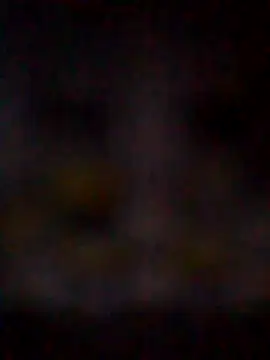 missAmanda69 online show from July 29, 11:25 pm