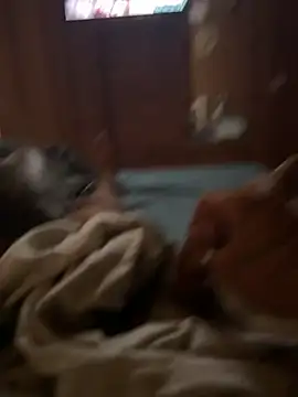 Snapshot of ferdi190 chatting on October 11, 10:58 am ferdi190 online show from October 11, 10:58 am