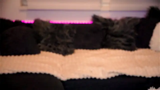 Snapshot of sweet_rapunzell chatting on February 6, 12:59 am sweet rapunzell online show from February 6, 12:59 am