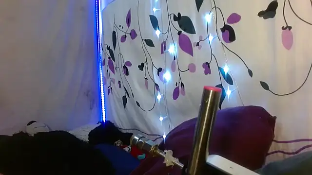 Snapshot of kattislut77 chatting on February 7, 7:50 pm kattislut77 online show from February 7, 7:50 pm