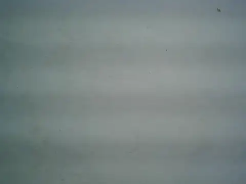 Snapshot of michel1520 chatting on June 9, 4:35 am michel1520 online show from June 9, 4:35 am