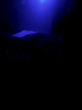 Snapshot of Raziv_komal143 chatting on February 26, 12:16 am Raziv komal143 online show from February 26, 12:16 am