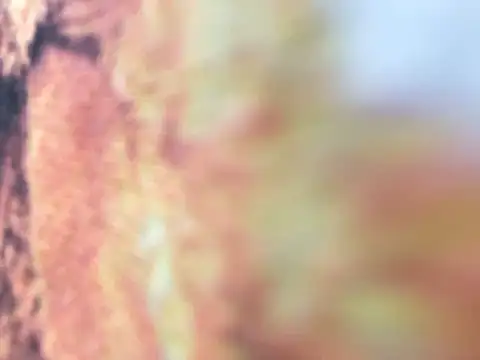 riri riri jp online show from December 16, 10:09 am