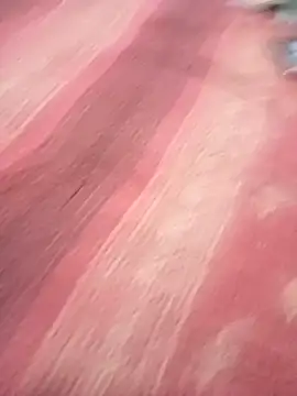 Snapshot of bdmaksuda1 chatting on March 21, 4:07 pm bdmaksuda1 online show from March 21, 4:07 pm