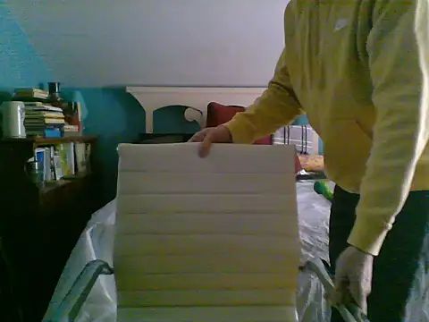 Snapshot of Prolapse_Pig chatting on February 3, 6:17 pm Prolapse Pig online show from February 3, 6:17 pm