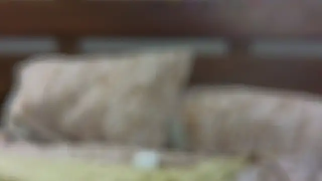 SallyCha online show from February 18, 12:15 am