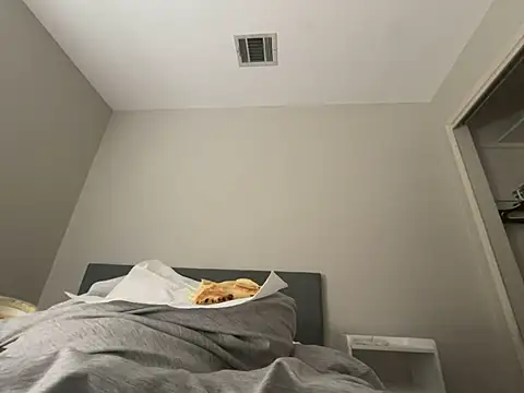 geld 88 online show from January 27, 5:37 pm