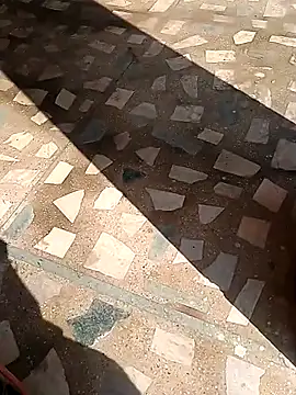 Snapshot of Raj41 chatting on November 13, 4:44 am Raj41 online show from November 13, 4:44 am