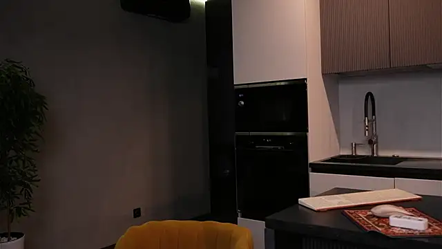 Sofa 01 online show from January 16, 2:21 pm