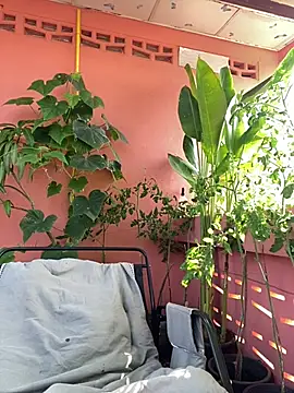 White Lu online show from April 14, 2:17 am