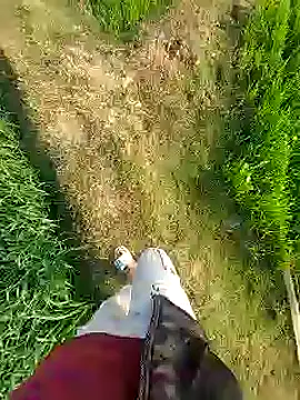 Extrembox5 online show from January 26, 3:17 am