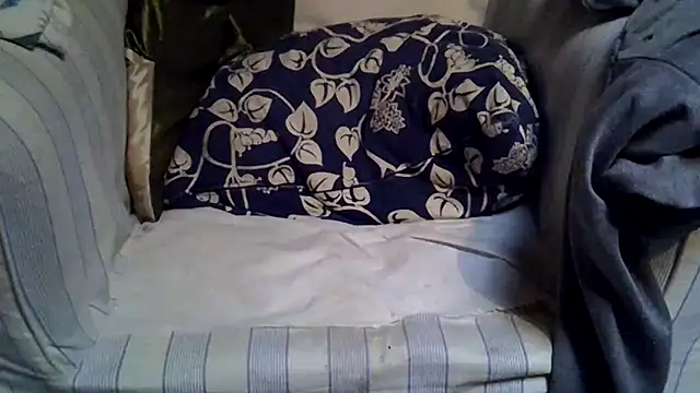 Snapshot of Damn_bro23 chatting on November 24, 8:14 am Damn bro23 online show from November 24, 8:14 am