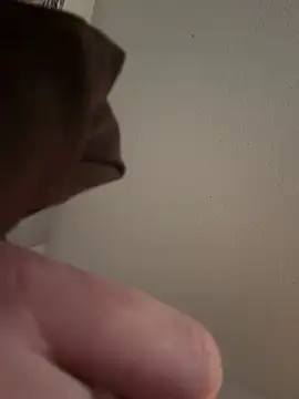 Snapshot of PhattPinxkTaco chatting on March 13, 12:27 am PhattPinxkTaco online show from March 13, 12:27 am