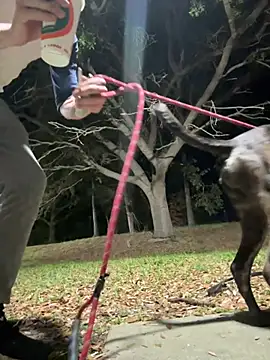 sexyhotstud12 online show from February 18, 4:26 am