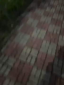 Snapshot of Phil_6677 chatting on October 12, 6:51 pm Phil 6677 online show from October 12, 6:51 pm