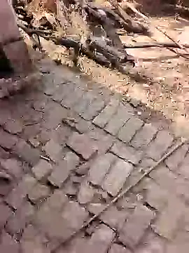 xmanrawan2 online show from February 17, 7:16 am