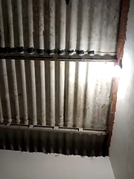 LoonyIdiot online show from April 8, 3:17 am