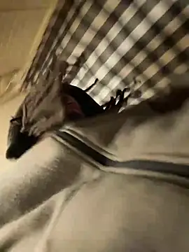 B3-Dindles online show from March 21, 12:17 pm