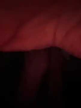 championes1980 online show from July 30, 8:57 am