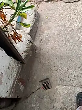 Snapshot of sethgamble000777 chatting on December 20, 9:05 am sethgamble000777 online show from December 20, 9:05 am