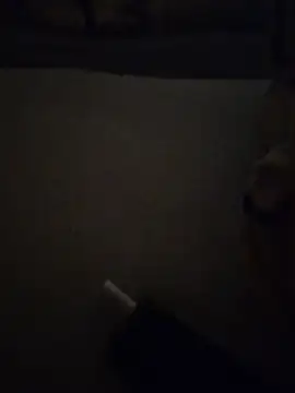 colin1277 online show from June 24, 4:33 am