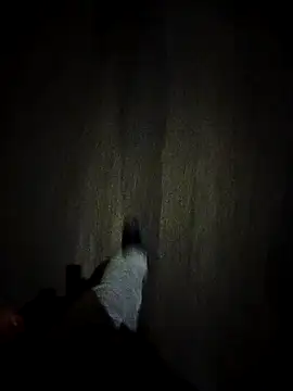 dominationmybigdick online show from October 27, 9:30 pm