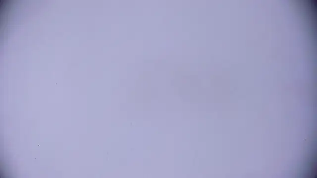 Snapshot of Ashlyaurora chatting on March 20, 7:58 am Ashlyaurora online show from March 20, 7:58 am