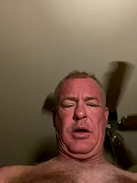 hintly online show from November 18, 12:42 pm