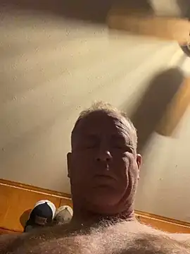 hintly online show from February 17, 12:34 pm