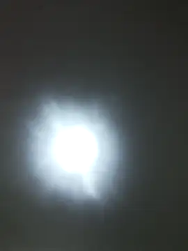 SARAI 523 online show from October 14, 7:25 pm