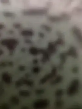 Snapshot of Yashkumar_0697 chatting on October 13, 8:42 pm Yashkumar 0697 online show from October 13, 8:42 pm