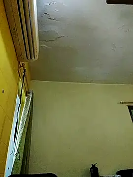 crazyfreaking online show from February 17, 7:26 am