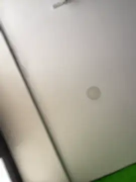 Dulce  Boyd online show from February 17, 2:02 pm