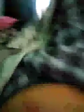 Tamil small cock online show from February 21, 3:23 am