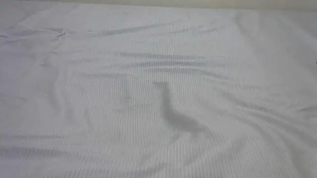 SweetTeaseX online show from February 13, 4:50 pm